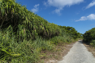 鸠山岛/鸠山岛路(冲绳八重山群岛)