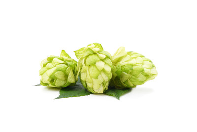 绿色的花跳。