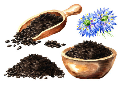 黑胡椒或茴香花，肉豆蔻花，罗马香菜，黑孜然，黑芝麻，黑子，黑葛缕子，蒲桃套装。水彩手绘插图，孤立的白