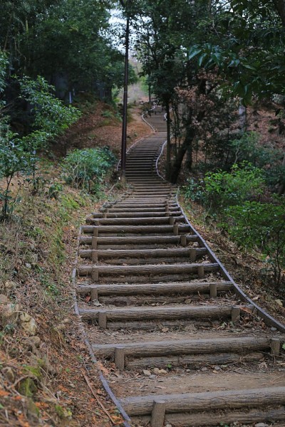 上山的道路