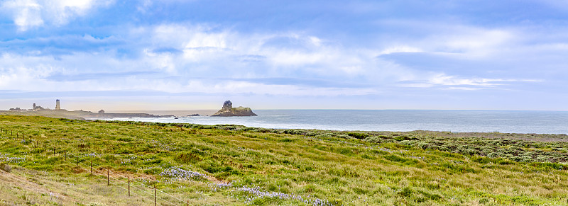 圆石滩的迷雾景观和灯塔
大苏尔的Piedras Blancas，