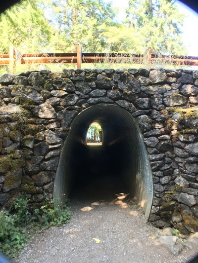 marymere falls步道上的行人隧道