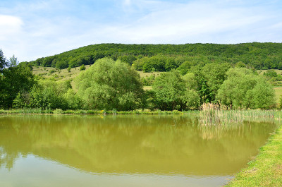 图林根的池塘建筑群Rhön