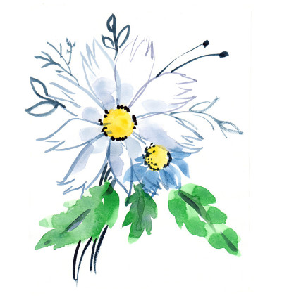 水彩白色洋甘菊花束。插图设计。手工。