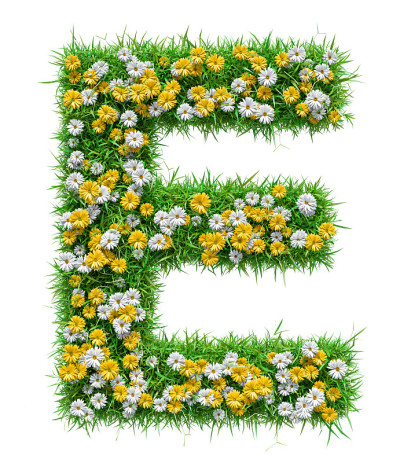 绿色的草和花的字母E