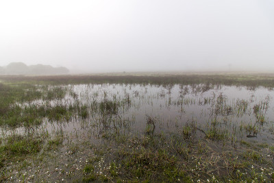 有雨水池塘的广阔土地