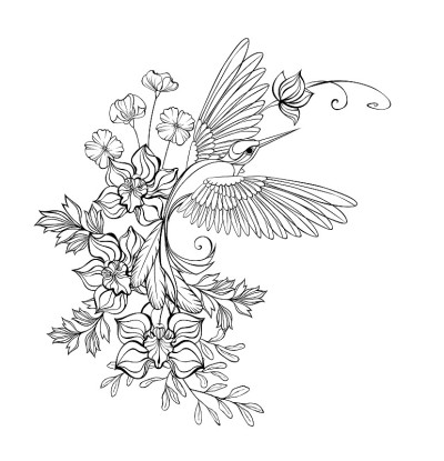 轮廓蜂鸟与兰花