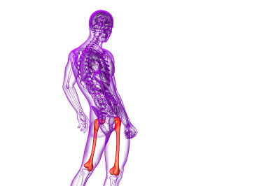 股骨的3d渲染医学插图