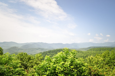 格陵兰岛