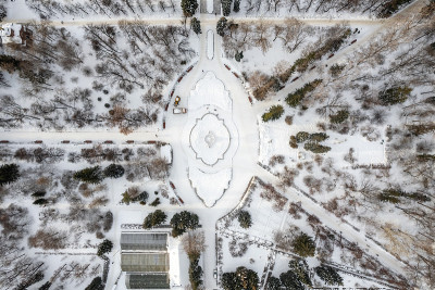 小公园里光秃秃的树被雪覆盖着。叶卡捷琳堡冬季公园鸟瞰图