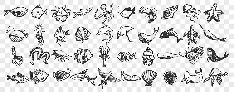 海洋生物涂鸦集