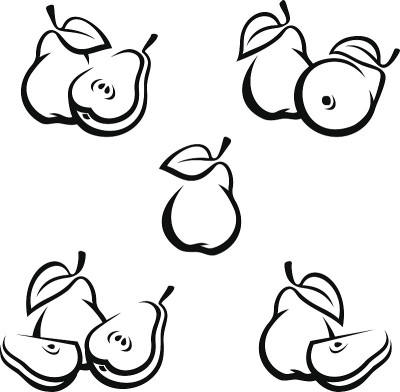 梨。向量