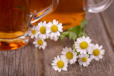 甘菊茶
