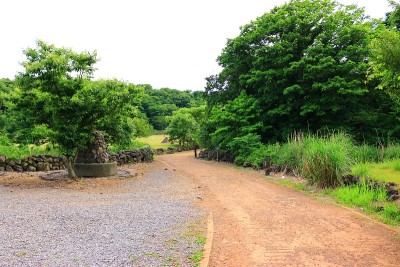 京来自然休养林，野营所，树林