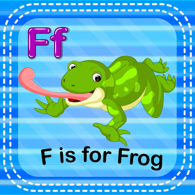 识字卡片上的字母F代表青蛙