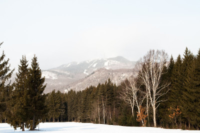 特伦布兰特山滑雪场冬天