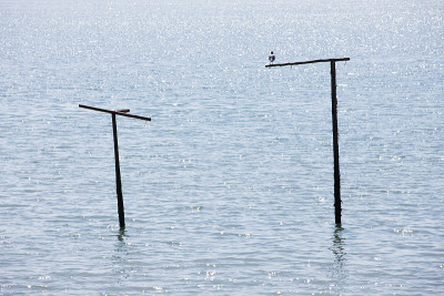 大海- ocean;海鸥- seagull;