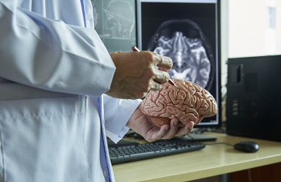 医生在后台演示人脑解剖和MRI