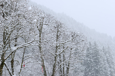 瑞士恩格尔堡的雪景