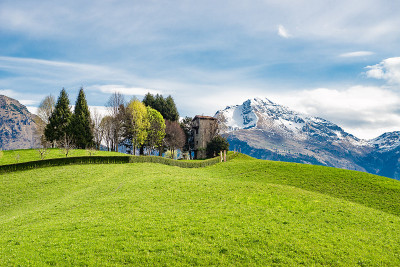 山