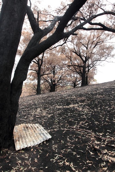 野火