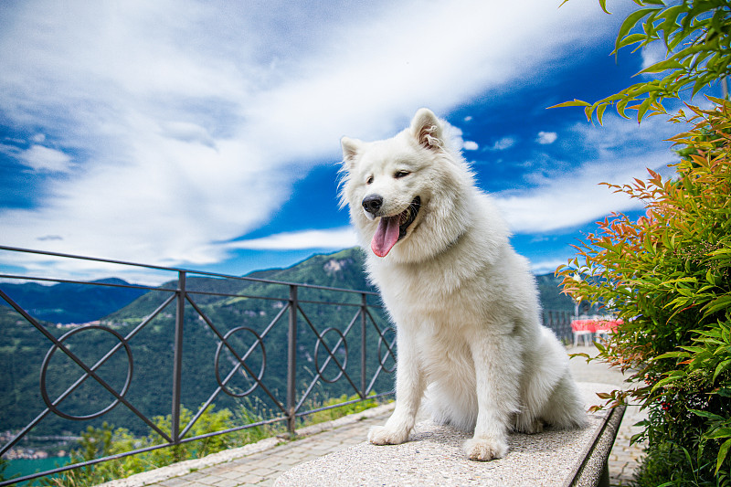 在山顶上可以看到卢加诺的美丽景色，从观景台可以看到湖