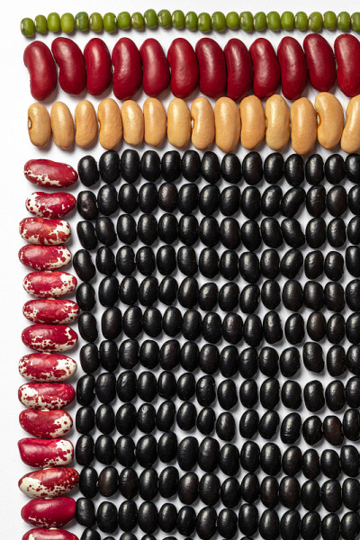几何bean模式。五彩缤纷的豆类纹理