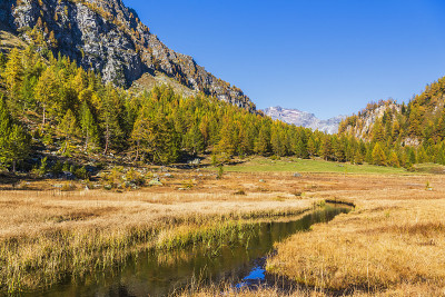 alpe devero 秋季 风景