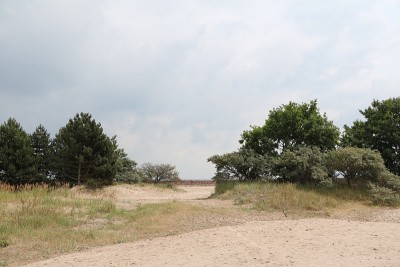 普罗拉岛Rügen，波罗的海，德国