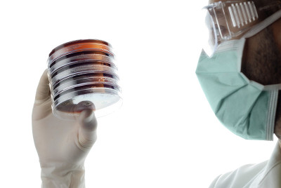 微生物学家看着一堆