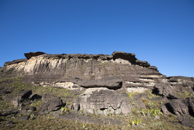 罗赖马峰，火山地带和奇怪的树木
