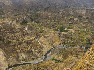 Colca峡谷、秘鲁