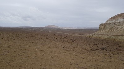 乌斯特高原的野生风景，哈萨克斯坦西部