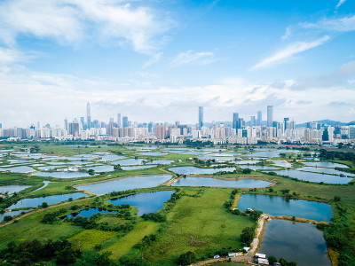 中国深圳美丽的天际线景观