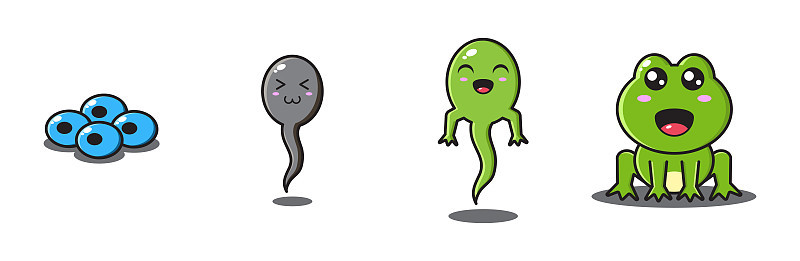 青蛙蜕变插图