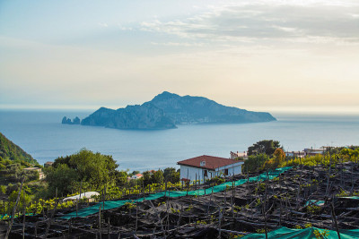 索伦蒂纳半岛景观