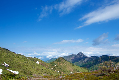 日本Shibu pass志贺高根的美丽景色。