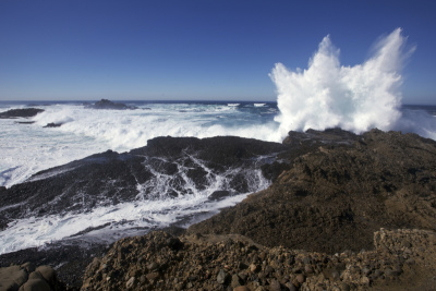 Point Lobos State Reserve, California