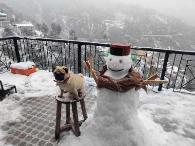帕格在雪地里