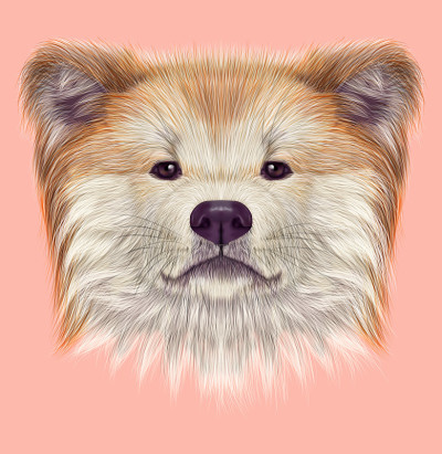 秋田犬日本犬。