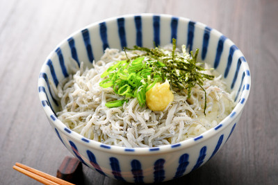 shirasu堂。银鱼碗。日本的食物。