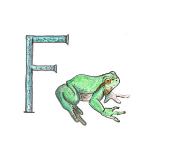 手绘ABC。教育的概念说明。字母F。