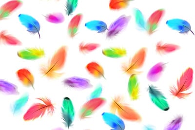 彩色羽毛抽象或插图