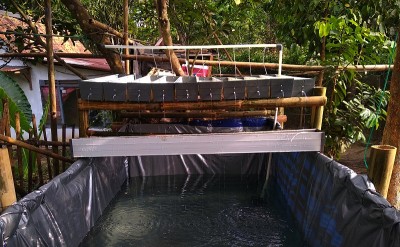 Aquaponics”安装