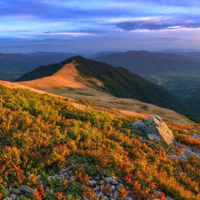 山