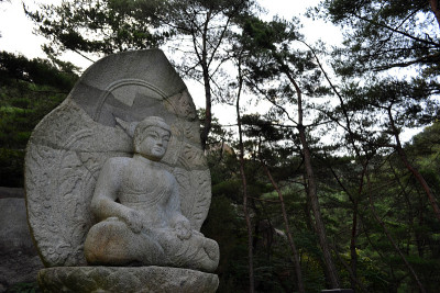南山周围的佛像。公园/森林本身就像一个步行博物馆