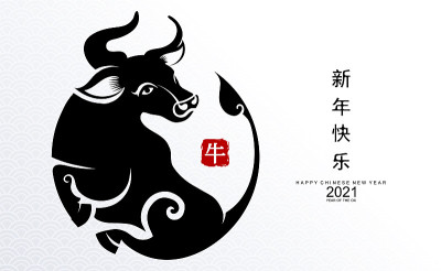 2021年中国新年。