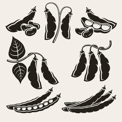bean集合。向量