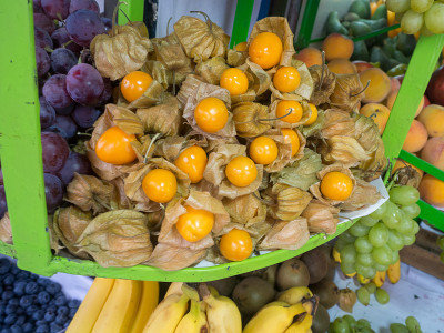 群goldenberries