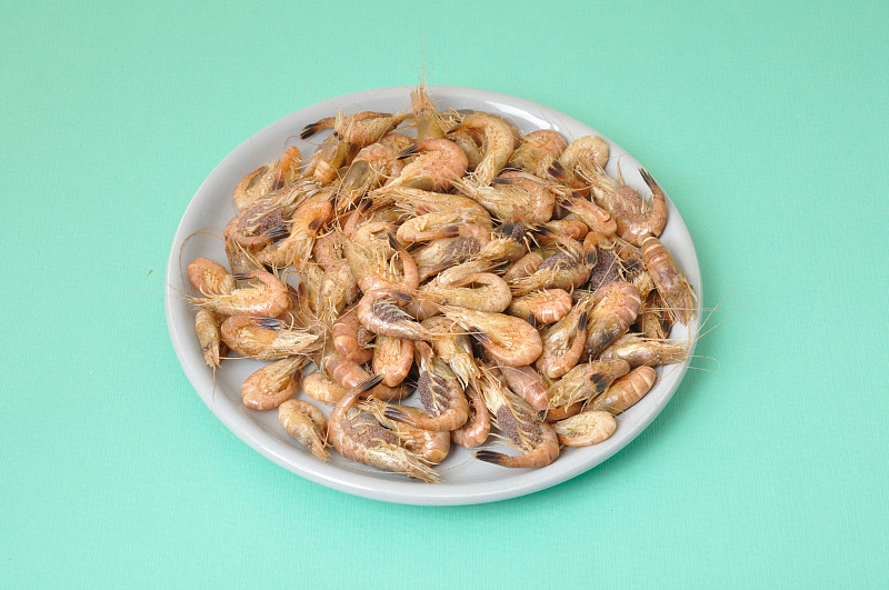 常见的虾